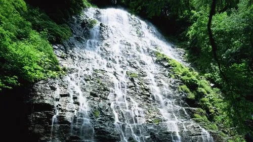 电子高效环保